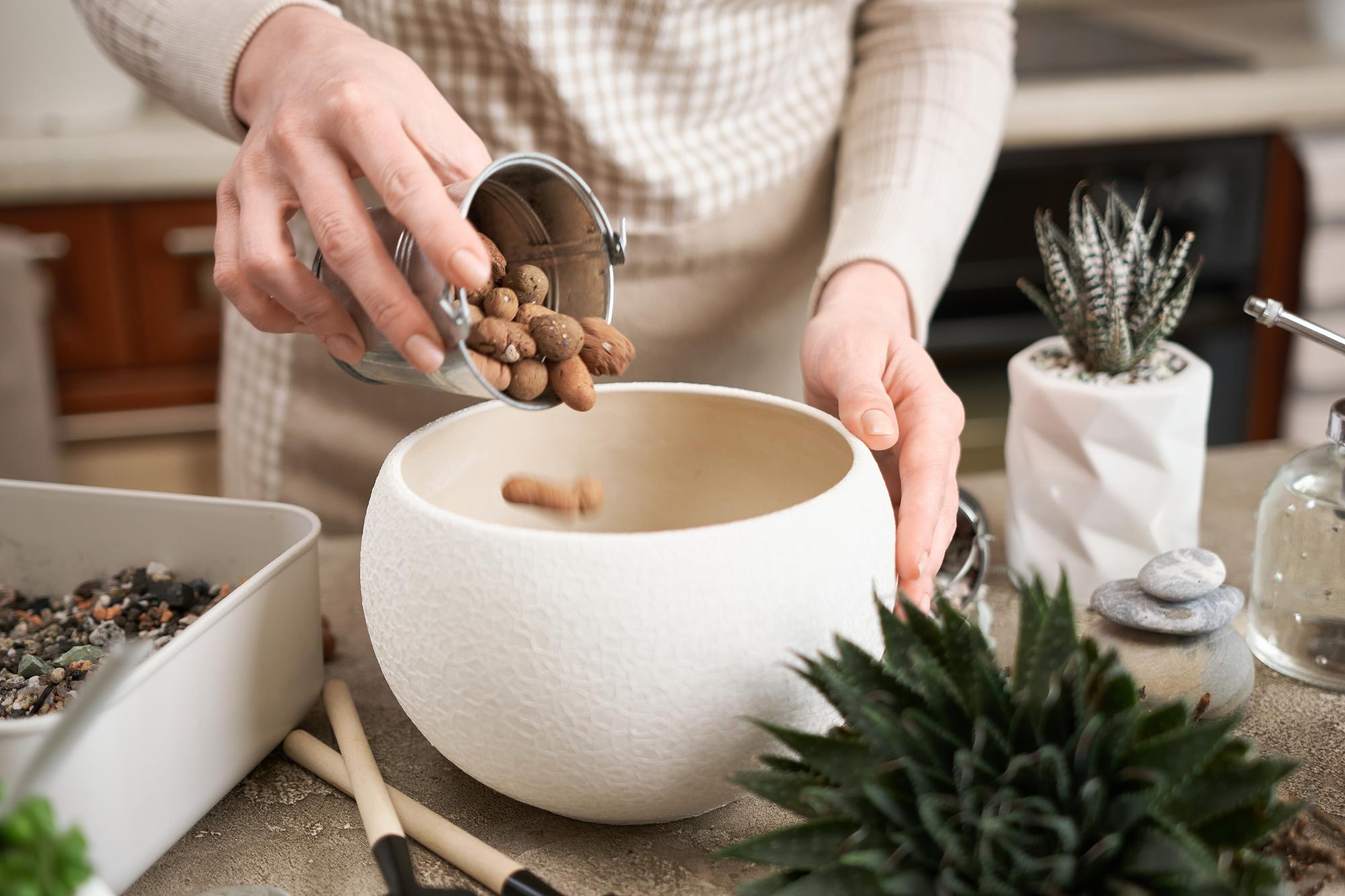 Founder arranging herbs beside ceramic bowls