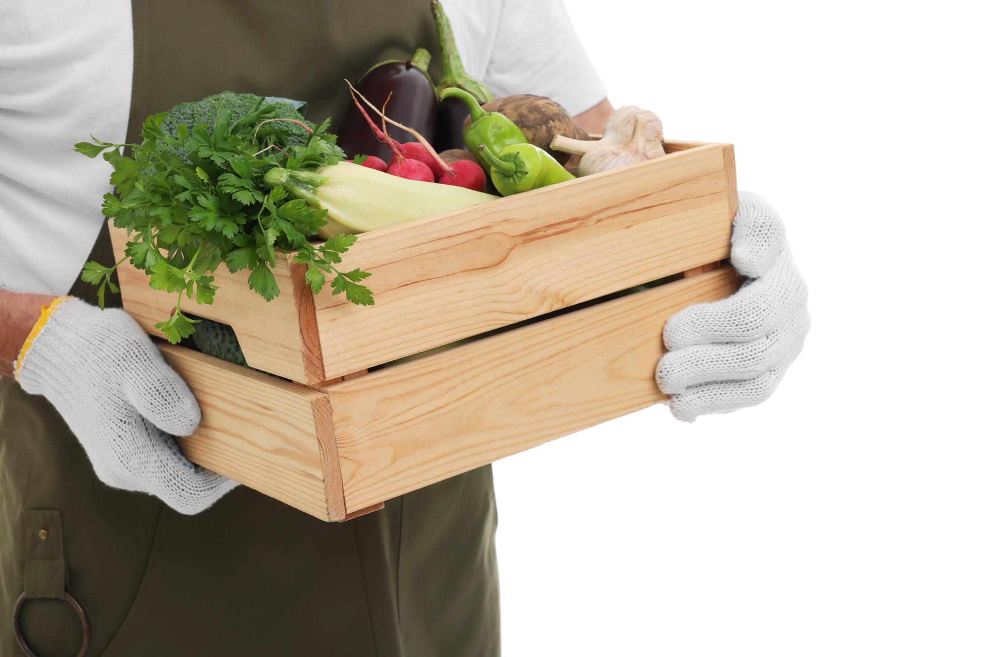 Organic farm crates of vegetables